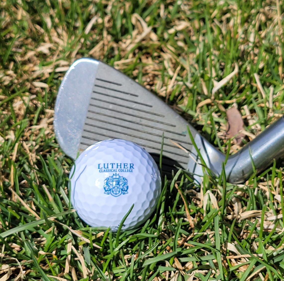 Golf Balls (Sleeve of 3) - Image 2
